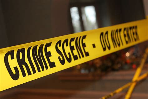 Unveiling The Crime Scene Investigator Background: A Deep Dive Into The ...