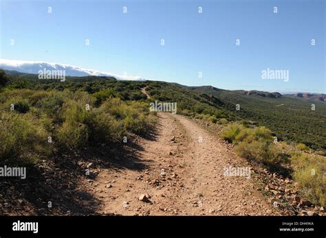 landscape dirt road of south africa Stock Photo - Alamy