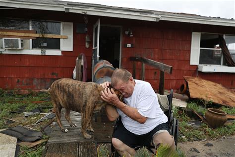 El Huracán Harvey No Deja Atrás A Las Mascotas Los Conmovedores