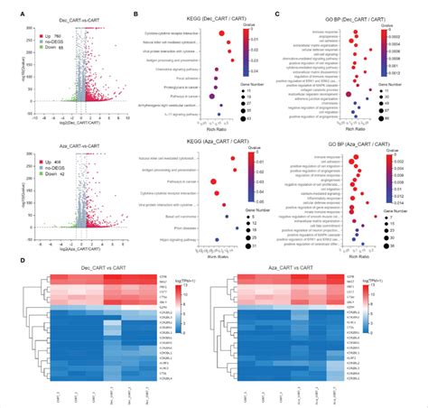 Analysis Of Differentially Expressed Genes And Functions Of CD44v6