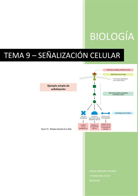 SOLUTION Tema 9 Se Alizaci N Celular Studypool