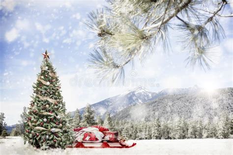 6,570 Christmas Decorated Snowy Tree Stock Photos - Free & Royalty-Free ...