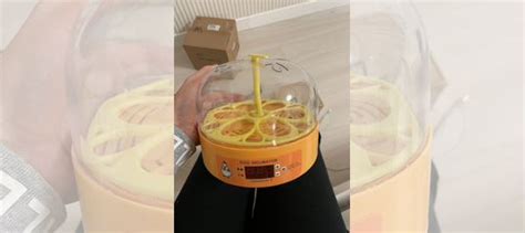 Инкубатор для яиц купить в Москве | Животные и зоотовары | Авито