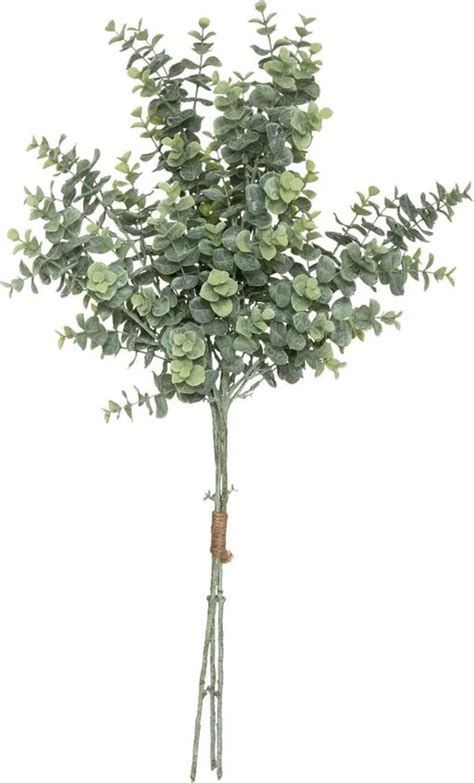 Atmosphera Kunstplant 3 Boeketten Eucalyptus Groen 64 Cm Bol