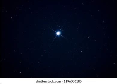 Sirius Star Images, Stock Photos & Vectors | Shutterstock