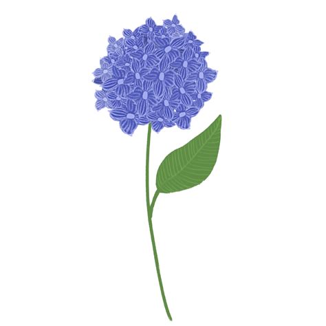 Hand Painted Hydrangea Png Picture Original Hand Painted Purple