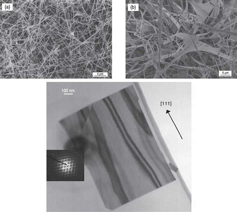 SEM Images Of B Ga 2 O 3 A Nanowires And B Nanobelts Synthesized