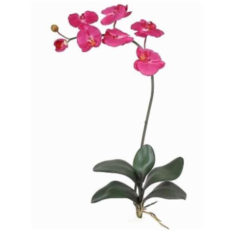 Nearly Natural 2044 BU Phalaenopsis Silk Orchid Flower With Leaves 6