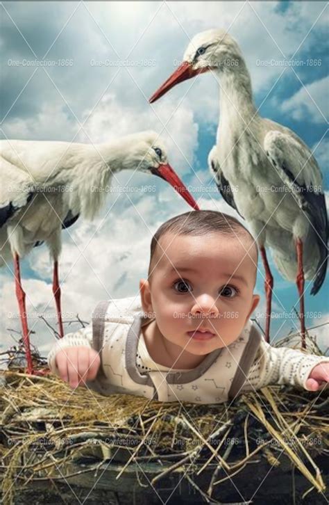 Studio Ghibli Inspired : r/PhotoshopRequests