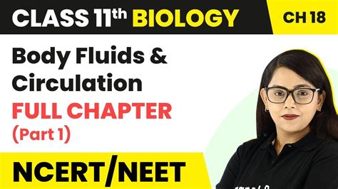 Class 11 Biology Chapter 18 Body Fluids And Circulation Full Chapter