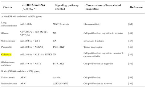 Colorectal Cancer Crc Cell Lines Atcc Bioz