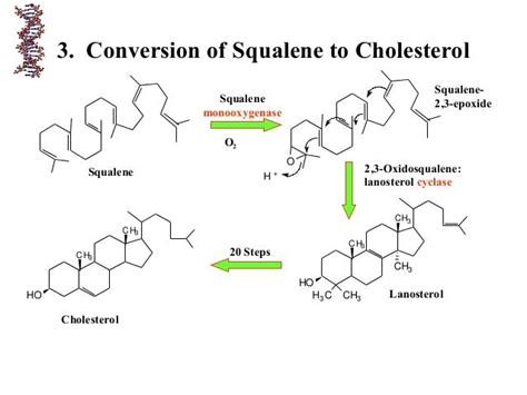 Recent Lipid Metabolism