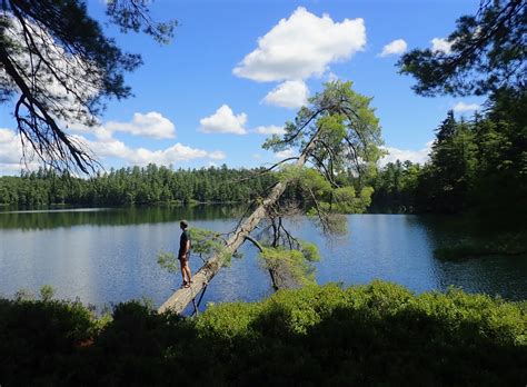 Follensby Clear Pond Camping • Nyskiblog