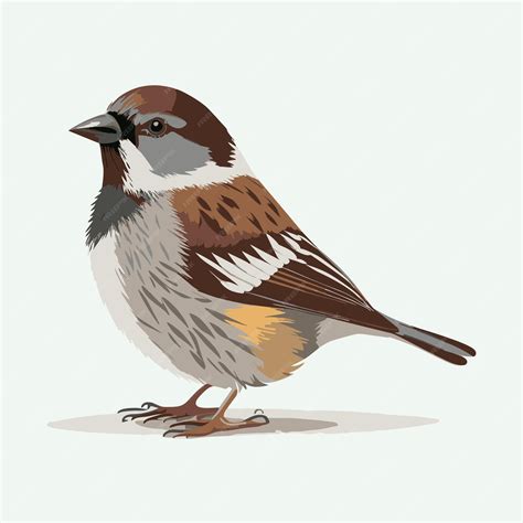 Premium Vector Vector Cute Sparrow Cartoon Style