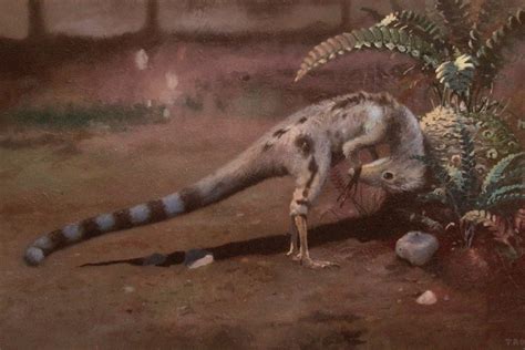 La Vera Storia Di Ciro Il Dinosauro Italiano Che Conquist Nature