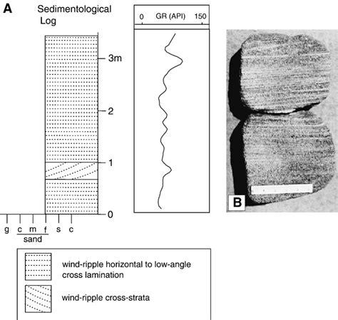 A Typical Vertical Profile And Gamma Ray Log For The Aeolian Sand