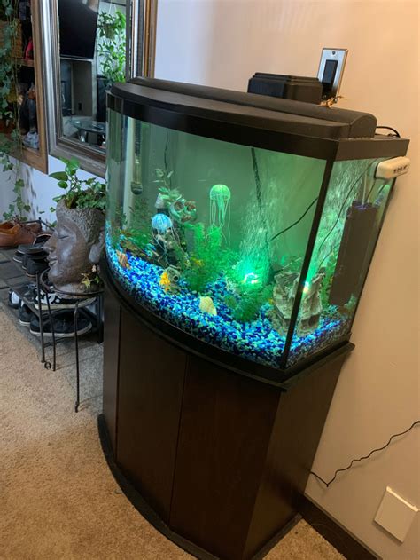 32 Gallon Curved Fish tank Stand | Accessories - OKz.ca