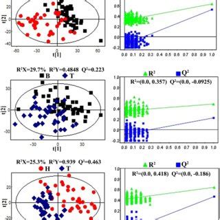 Opls Da Score Plots Left Panel Derived From H Nmr Spectra Of Serum