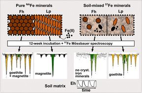 Contact With Soil Impacts Ferrihydrite And Lepidocrocite