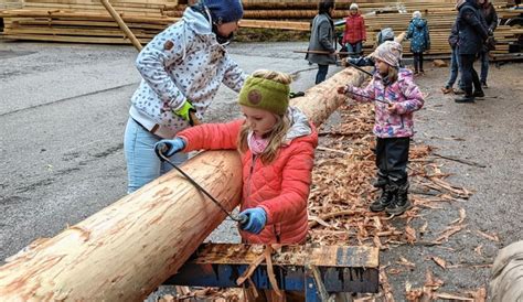 Ovb Heimatzeitungen Kinder Schepsen Ihren Maibaum