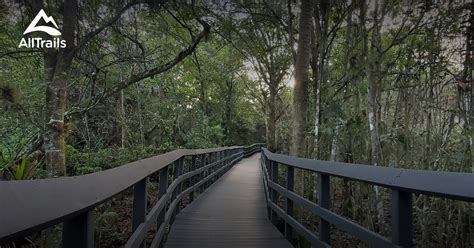 Best trails in Fern Forest Park, Florida | AllTrails