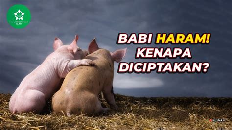 Inilah Sejarah Haramnya Babi Dalam Islam Youtube