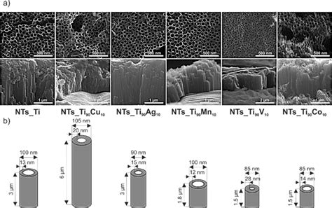 A Surface And Cross Sectional Morphology Of Pristine And