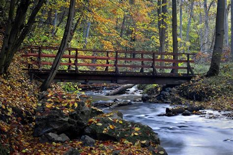 Fiume Orta Sorgente Foce Affluenti Ho Rispetto Per L Acqua