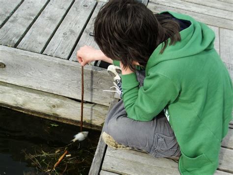 stock photo  im  bored   images