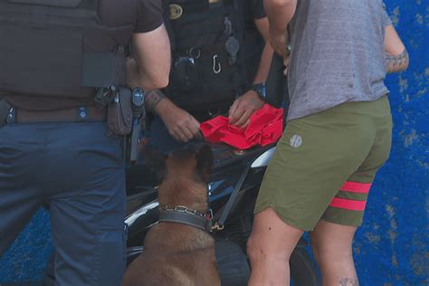 Patrouille avec les gendarmes de l opération de lutte anti drogue