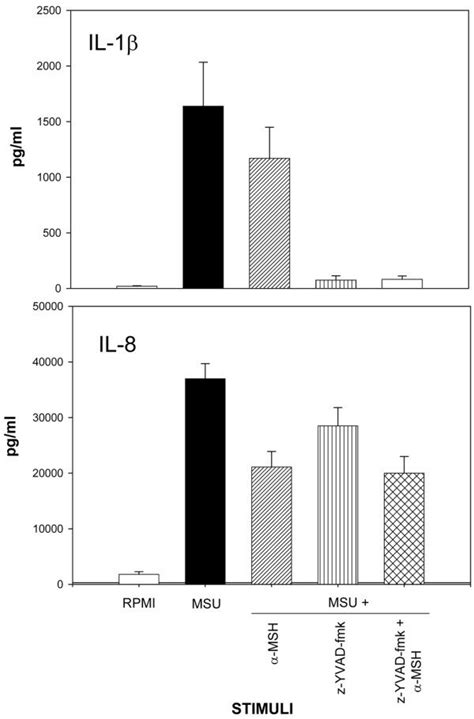 Effect Of The Caspase Inhibitor Z Yvad Fmk On Inflammatory Mediator