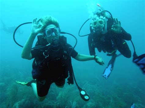 Good Friends On Asta Reef Barbados Blue Watersports