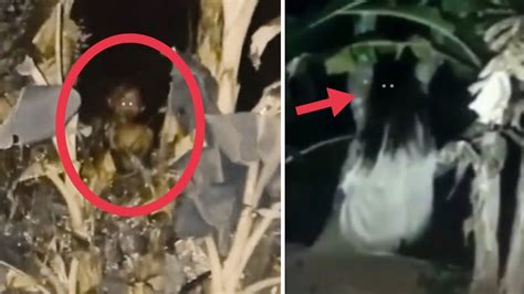 TUYUL DAN KUNTILANAK DI POHON PISANG 7 PENAMPAKAN HANTU TERJELAS DAN