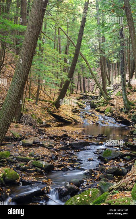 Wilde Brook In Chesterfield Gorge Natural Area Of Chesterfield New