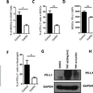 Icaritin Downregulates PDL1 Expression On MDSCs And Neutrophils In The