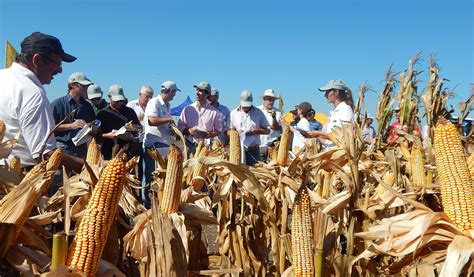 La Sociedad Rural De 9 De Julio Saluda A Agricultores En Su Día La Trocha Digital