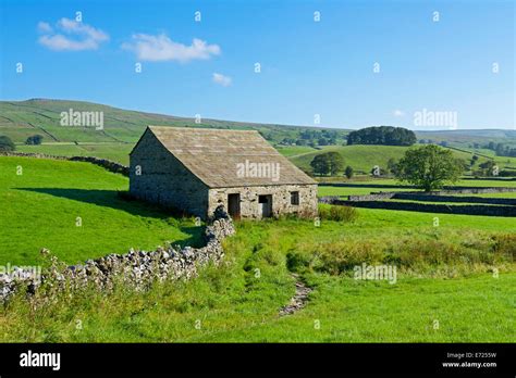 Field Barns Near Hawes Wensleydale Yorkshire Dales National Park