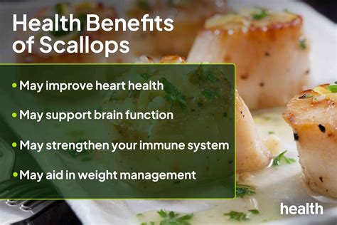 Scallops: Benefits, Nutrition, and Risks