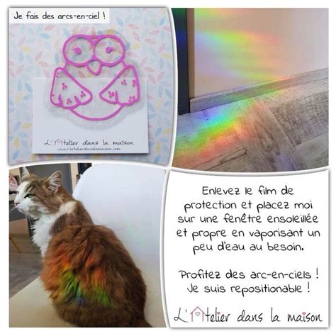 Sticker Pour Fen Tre Effet Arc En Ciel Chouette Latelierdanslamaison