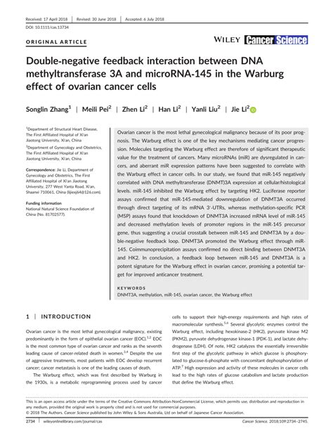 Pdf A Double Negative Feedback Interaction Between Dnmt3a And Mir 145