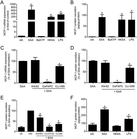 Mcp Mrna Expression And Protein Secretion In Rvsmc And Thp