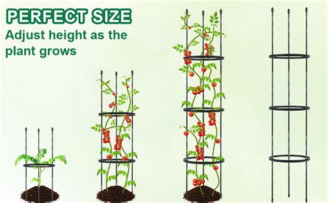 Amazon 2 Pack Garden Trellis And Tomato Cages Deaunbr Plant