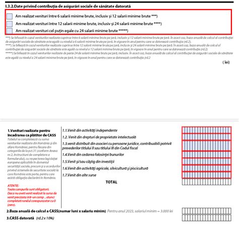 Ghid Depunere Declaratie Unica Certinvest