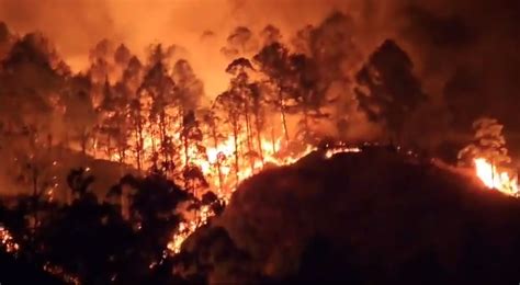 Incendio Forestal Arrasa Con Hect Reas De Bosques En Quilanga Loja