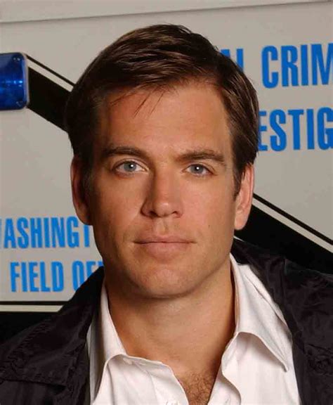 Anthony Dinozzo Wiki Ncis Fandom