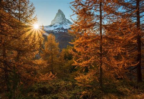 Sunlight Trees Landscape Forest Fall Mountains Sunset Nature