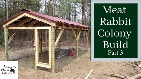 Meat Rabbit Colony Build We Built A Meat Rabbit Pen To Raise Our