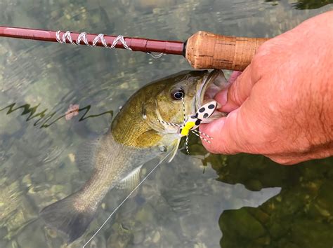 Buggin Out Fly Tying Instructions Foam Flies For Smallmouth Bass