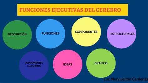 Funciones Ejecutivas Del Cerebro By Luz Mery Leiton Cardenas On Prezi