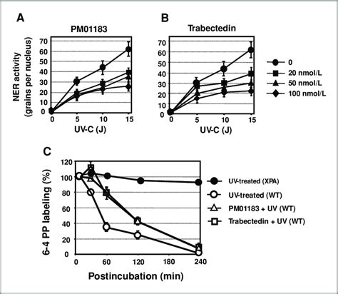 Repair Inhibition Of Uv C Induced Dna Lesions By Pm And